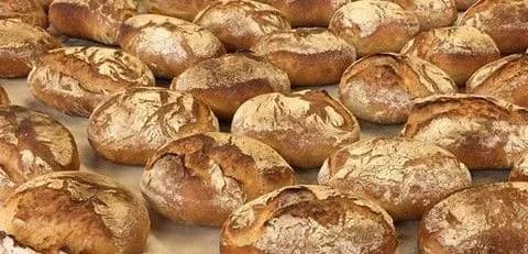 Kringelgarden levain Matkomfort