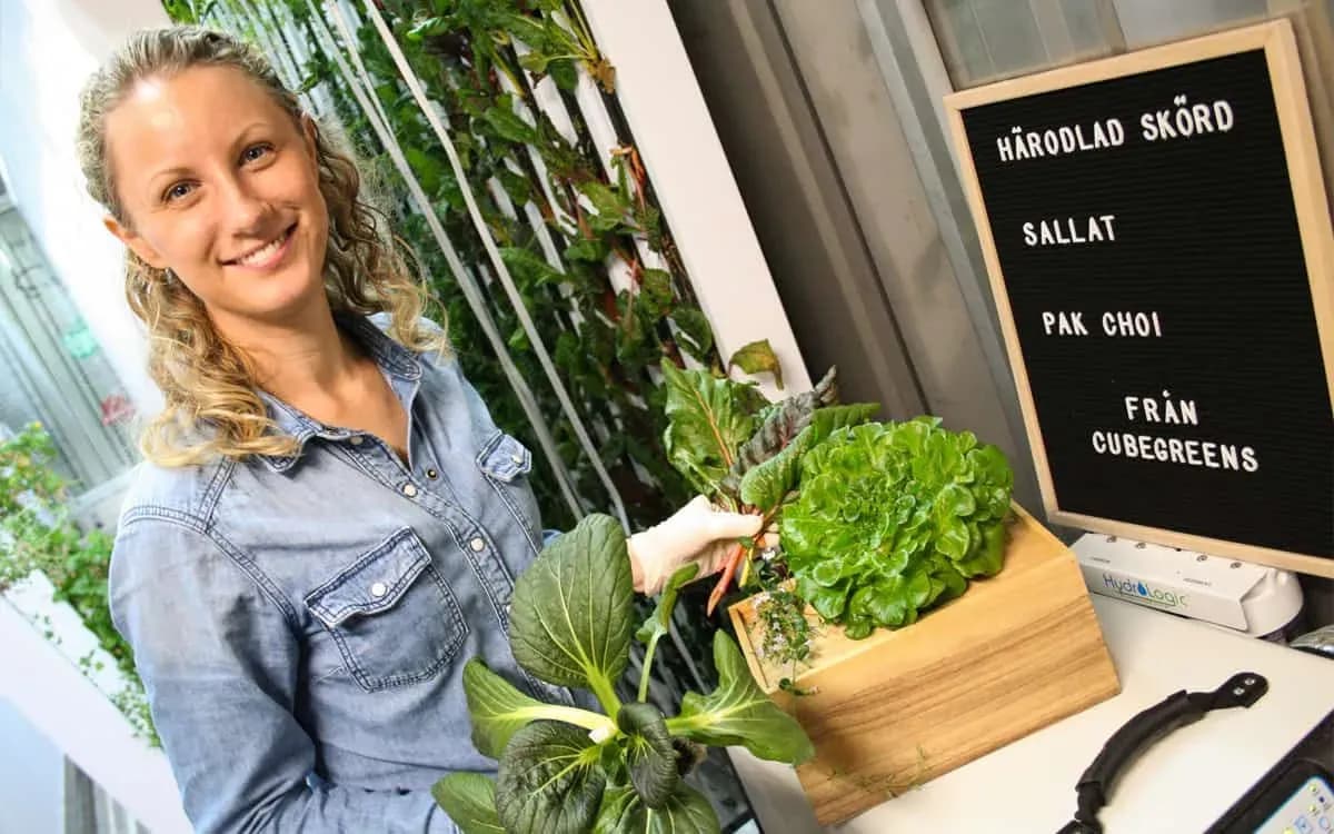 Cubegreens hos Matkomfort