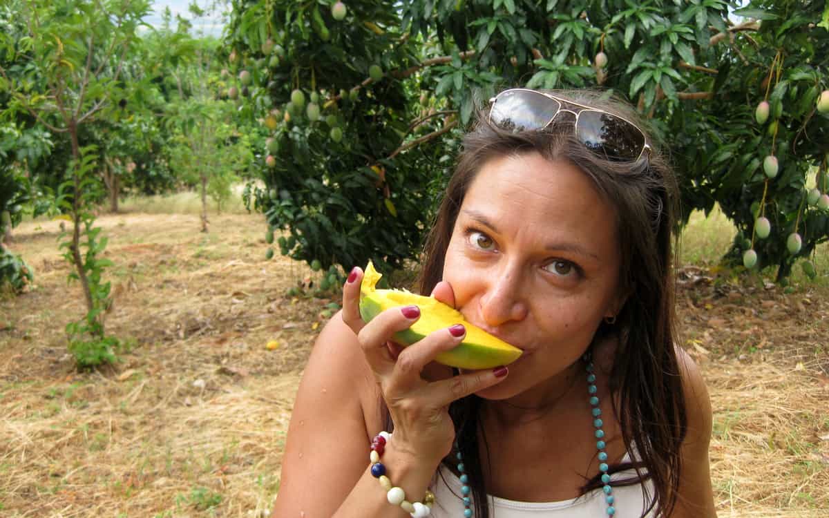 Nathalie ekologisk torkad mango